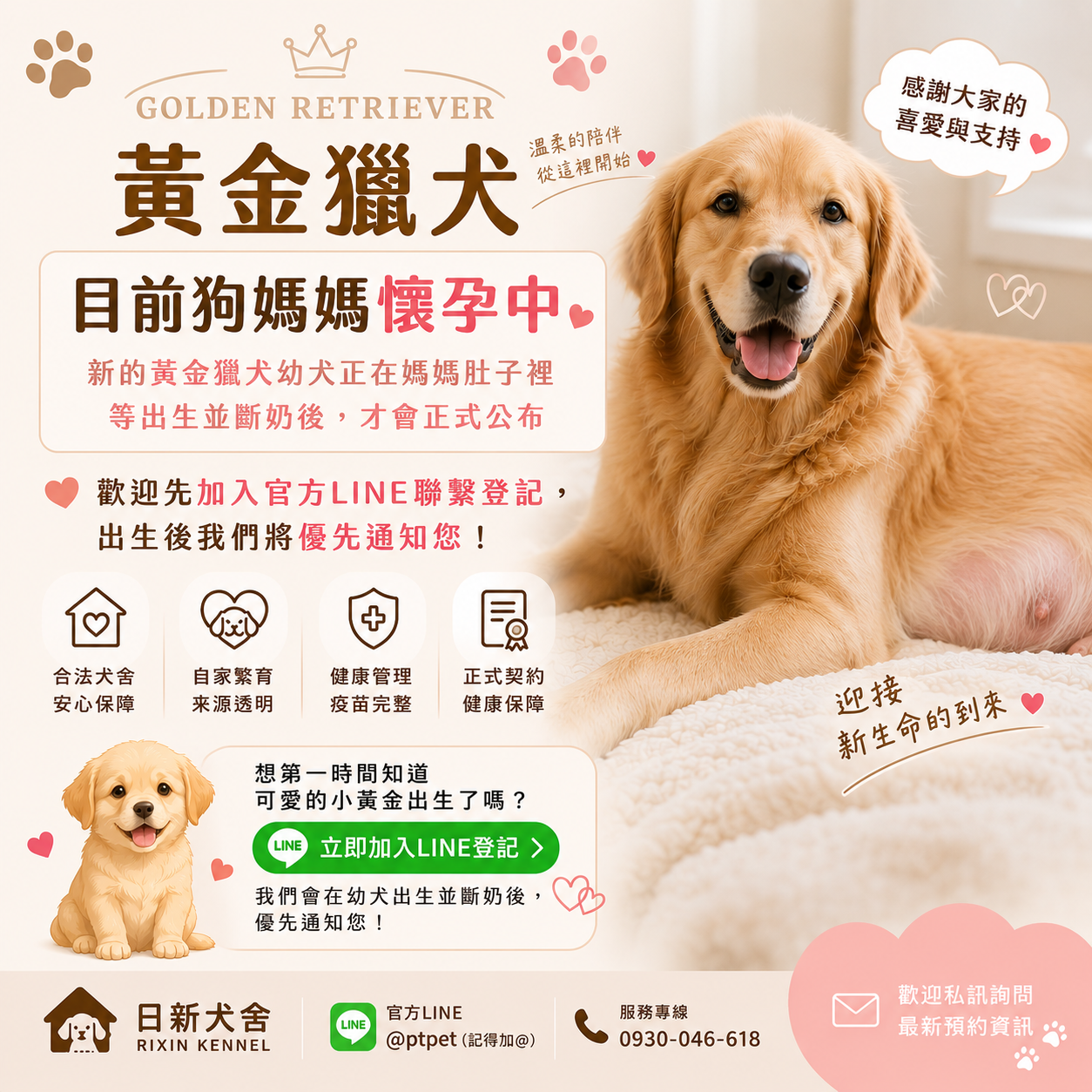 懷孕中