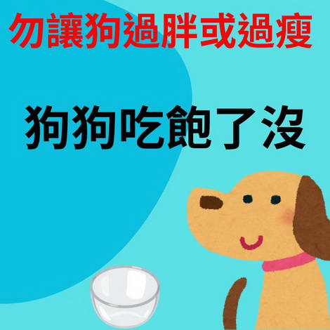 狗狗吃飽了沒