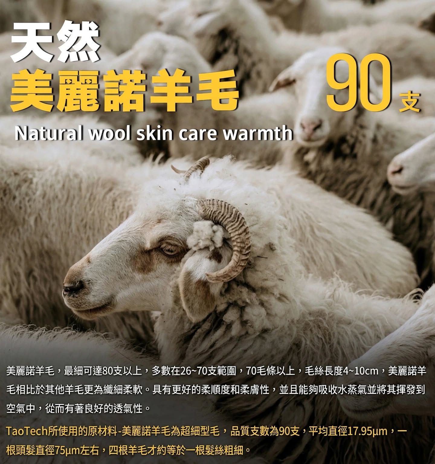 9c0bf0fc-892e-40ea-a301-ea91ddb041d7-edited.jpg 天然美麗諾羊毛90支,超細羊毛纖維平均17.95μm,四根才等於一根髮絲,親膚透氣保暖材質說明圖。