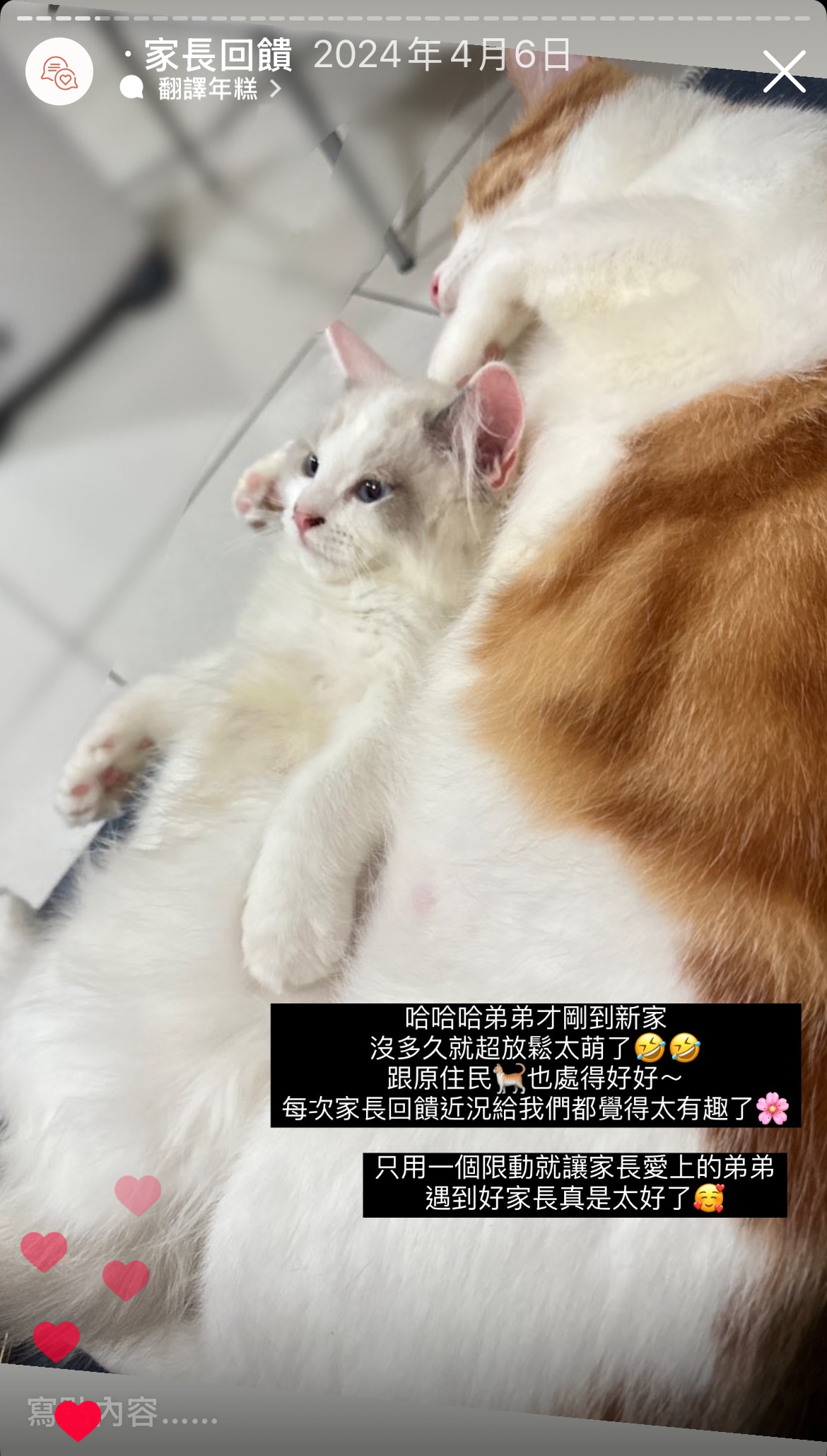 2024/04/06家長回饋