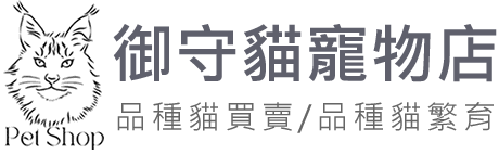台中英短貓舍 | 御守貓寵物店