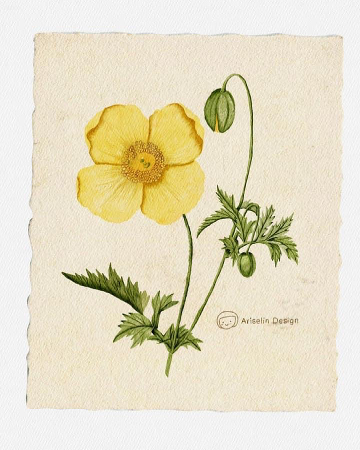 043F86CC-BE3B-4580-9E70-D202E97E23CF.JPG image.jpeg