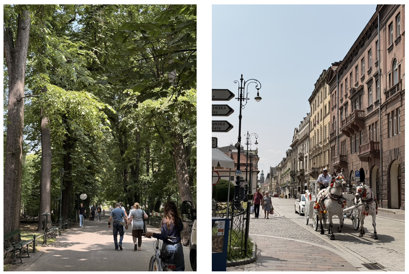 截圖 2026-04-05 下午1.31.53.png