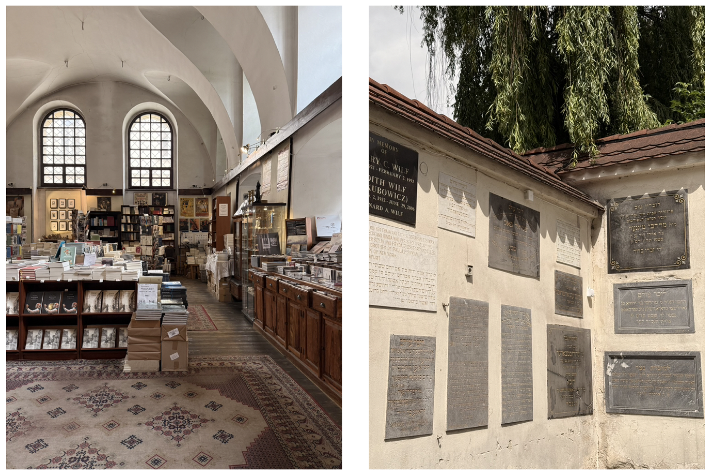 截圖 2026-04-05 下午6.59.12.png