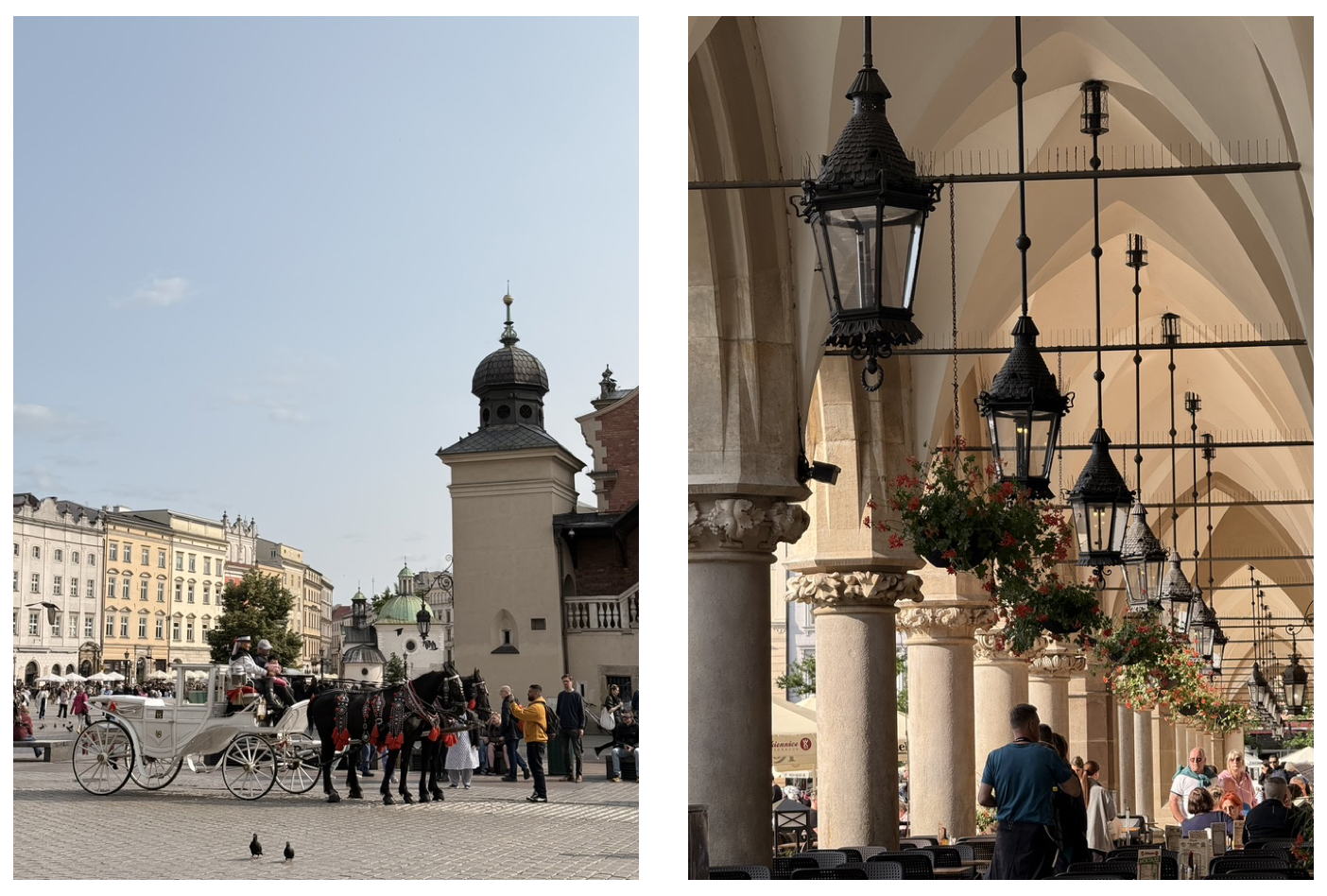 截圖 2026-04-05 中午12.25.15.png