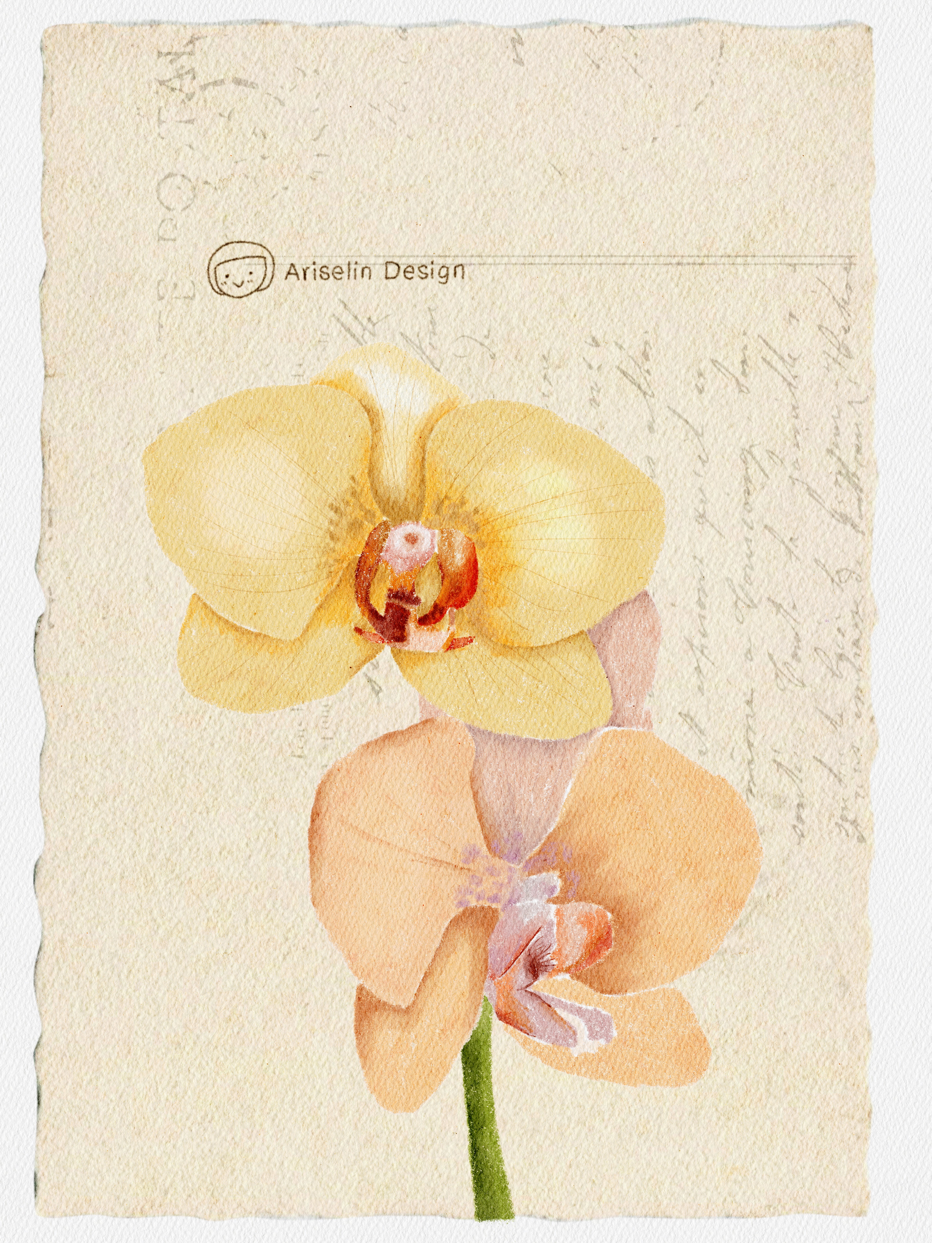 IMG_0827.JPG image.jpeg