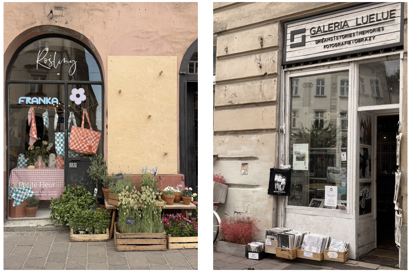 截圖 2026-04-05 晚上7.02.49.png