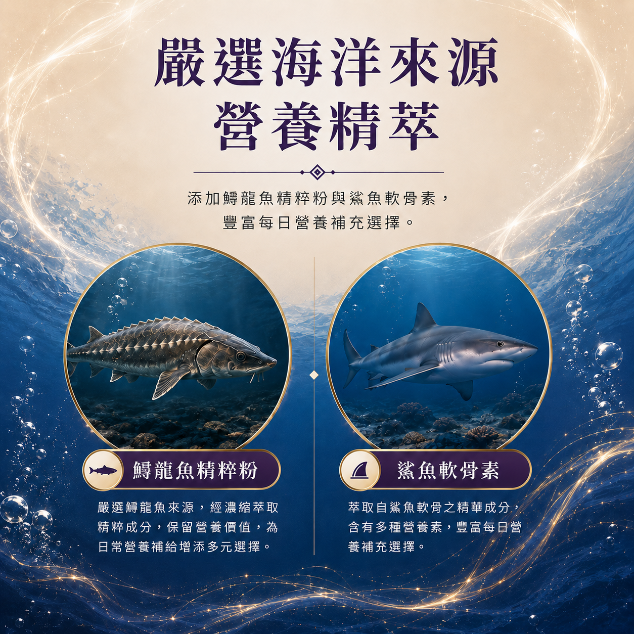ChatGPT Image 2026年6月4日 下午09_26_05_0.png