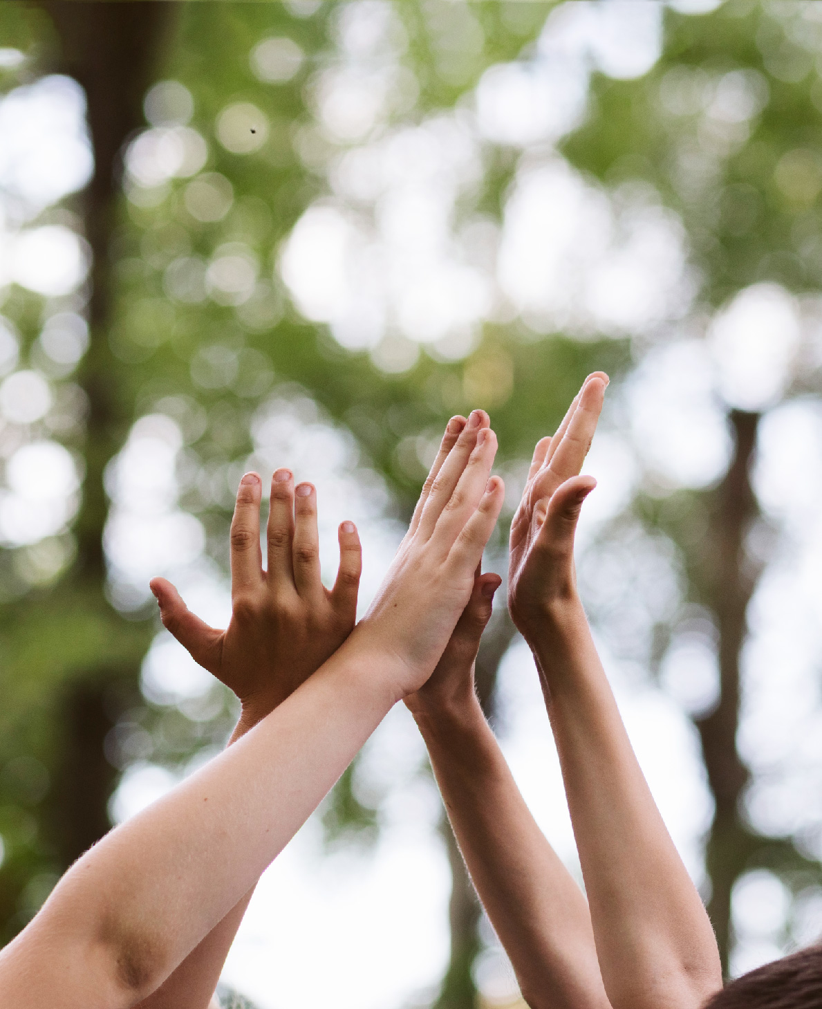 電腦版 首頁圖 1960 1000_20260210-17.jpg