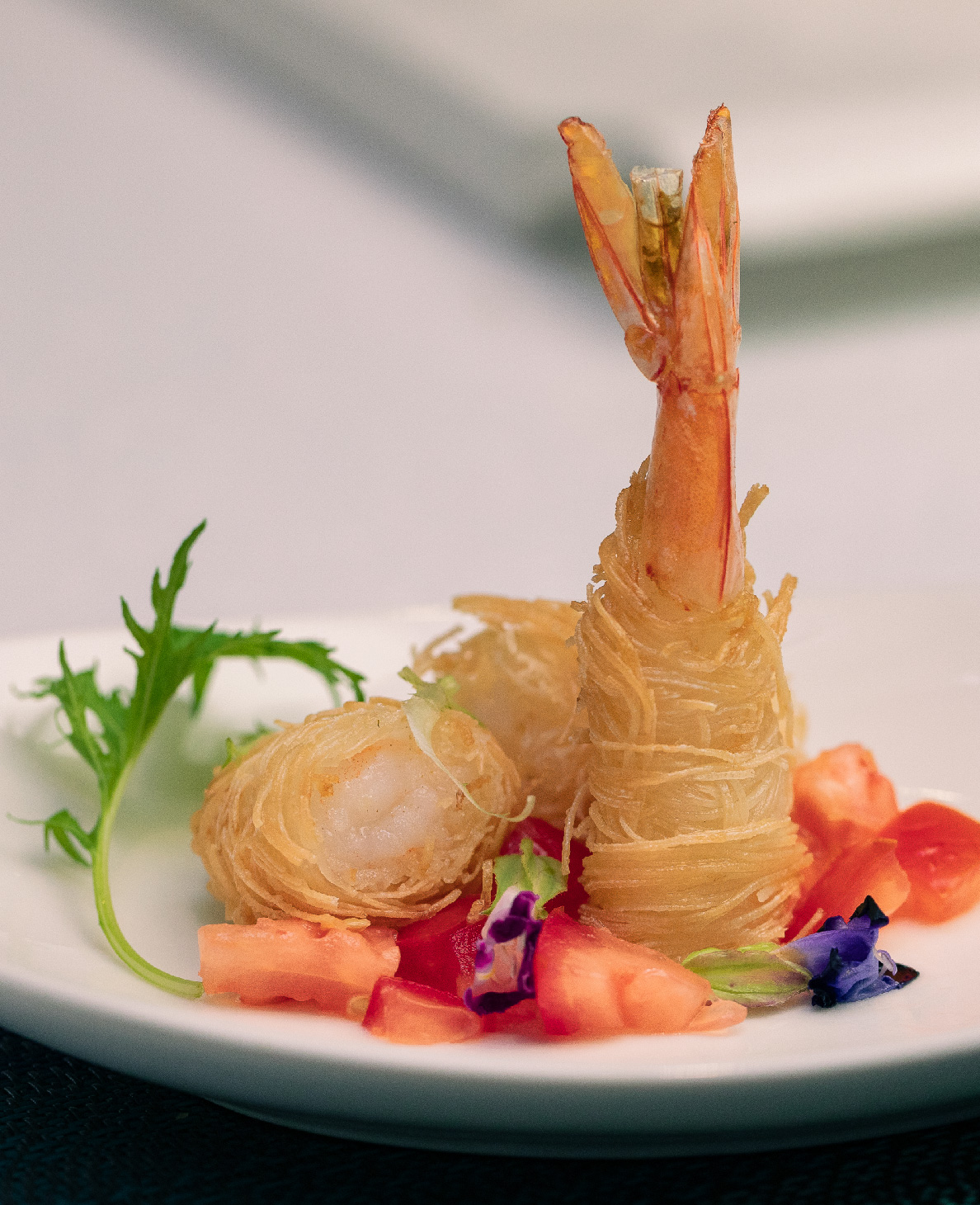 20260217_Kataifi Series-06.jpg