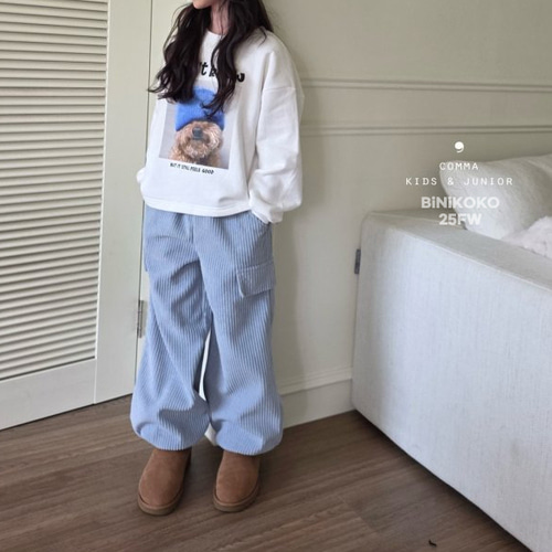 50641直紋褲(兩色)