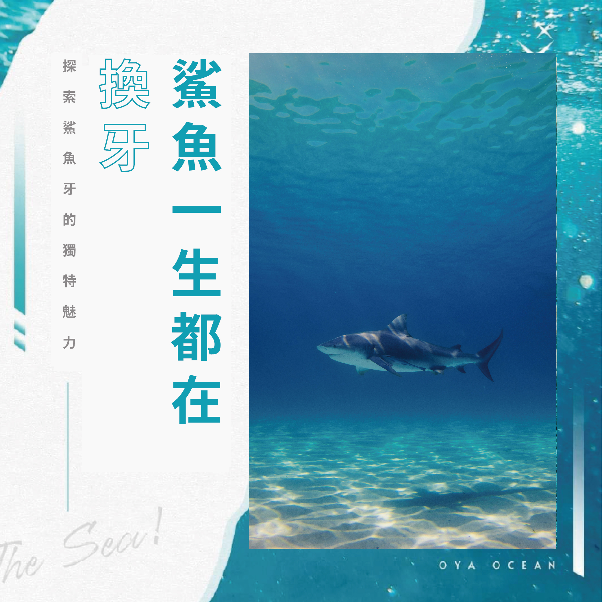 鯊魚一生都在掉牙，甚至能換超過兩萬顆牙?!