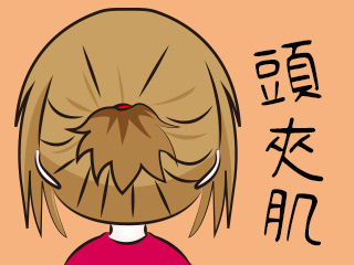 頭夾肌