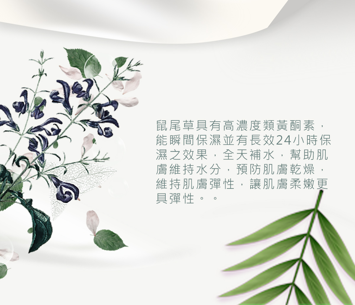 鼠尾草長效保濕乳液(沙貨)_02.jpg