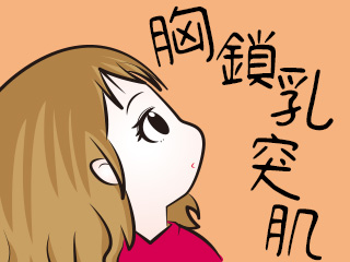 胸鎖乳突肌