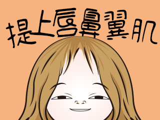 提上唇鼻翼肌