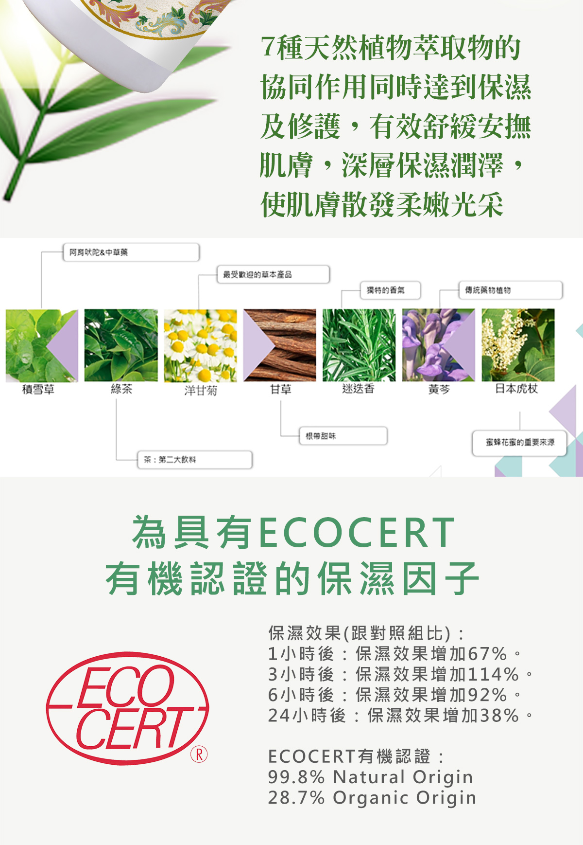 鼠尾草長效保濕乳液(沙貨)_04.jpg