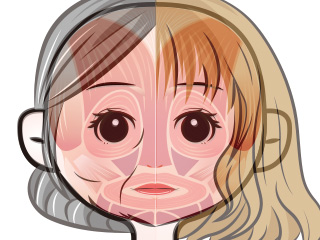 臉部肌肉