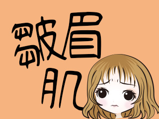 皺眉肌