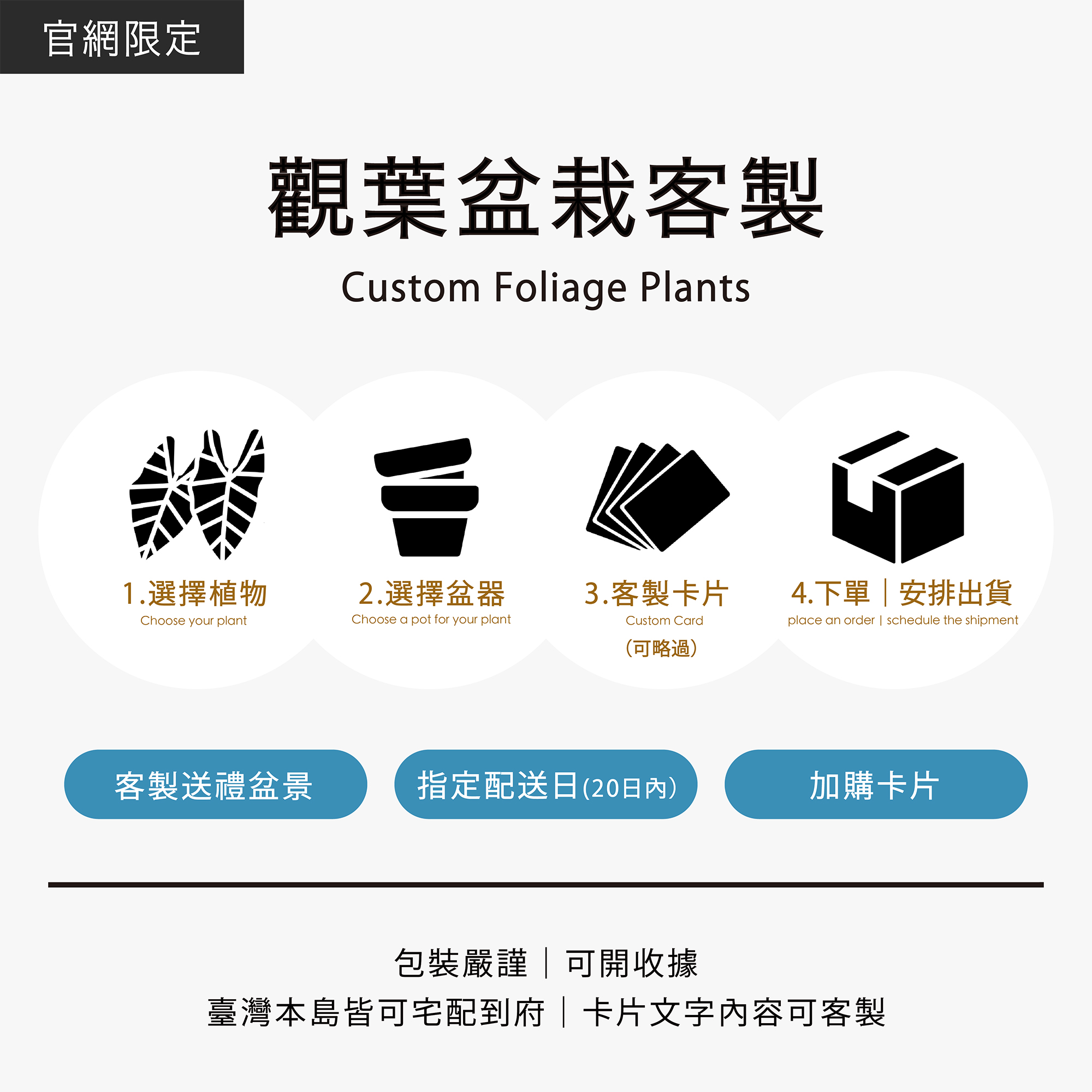 觀葉盆栽客製|Custom Foliage Plants1