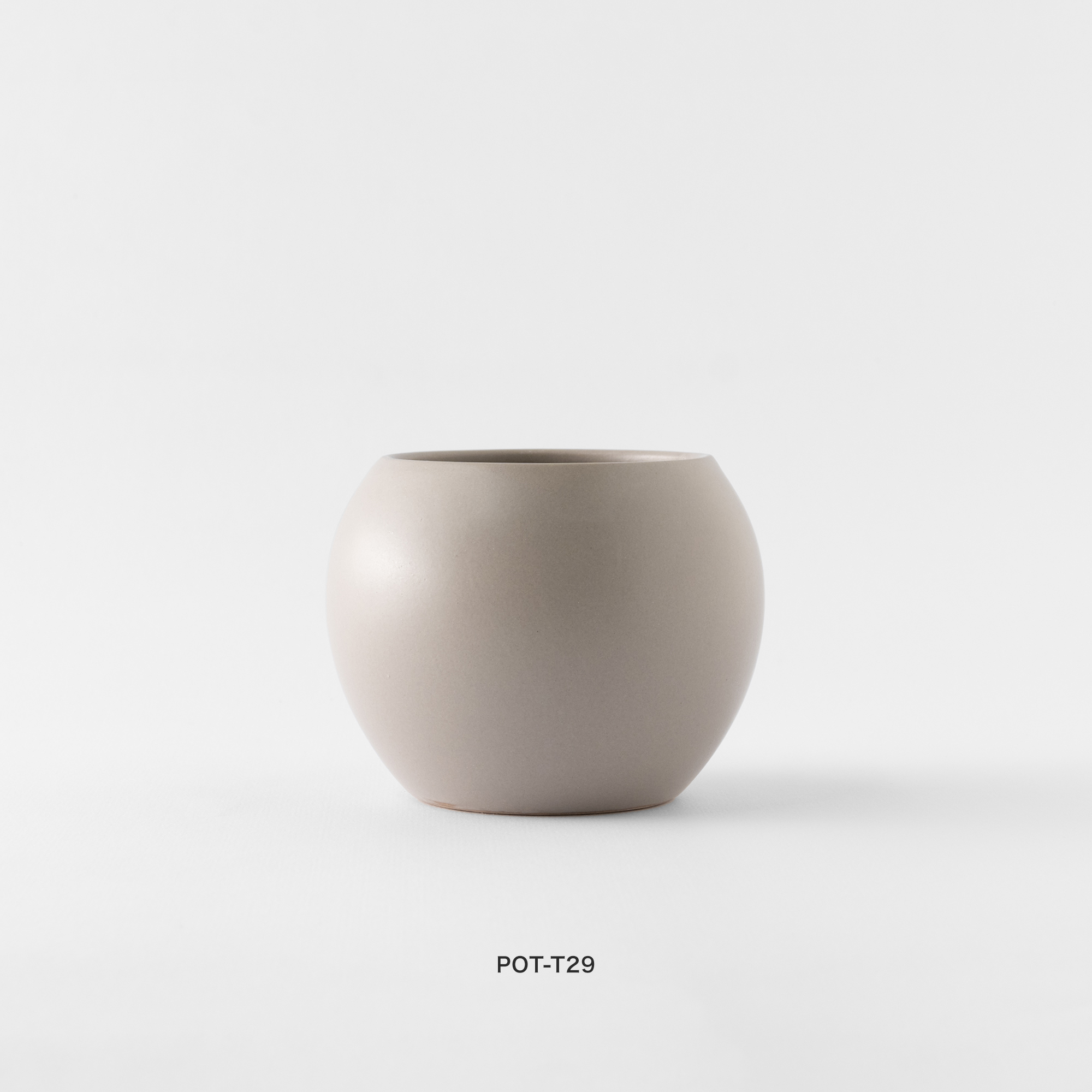 觀葉盆栽客製|Custom Foliage Plants6