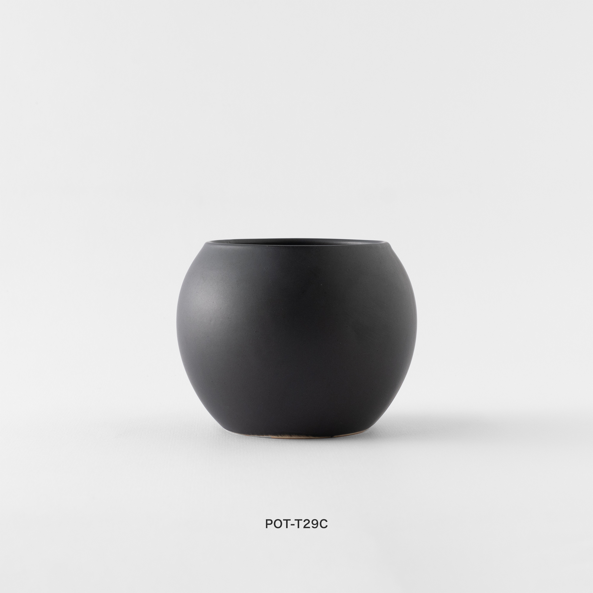 觀葉盆栽客製|Custom Foliage Plants7