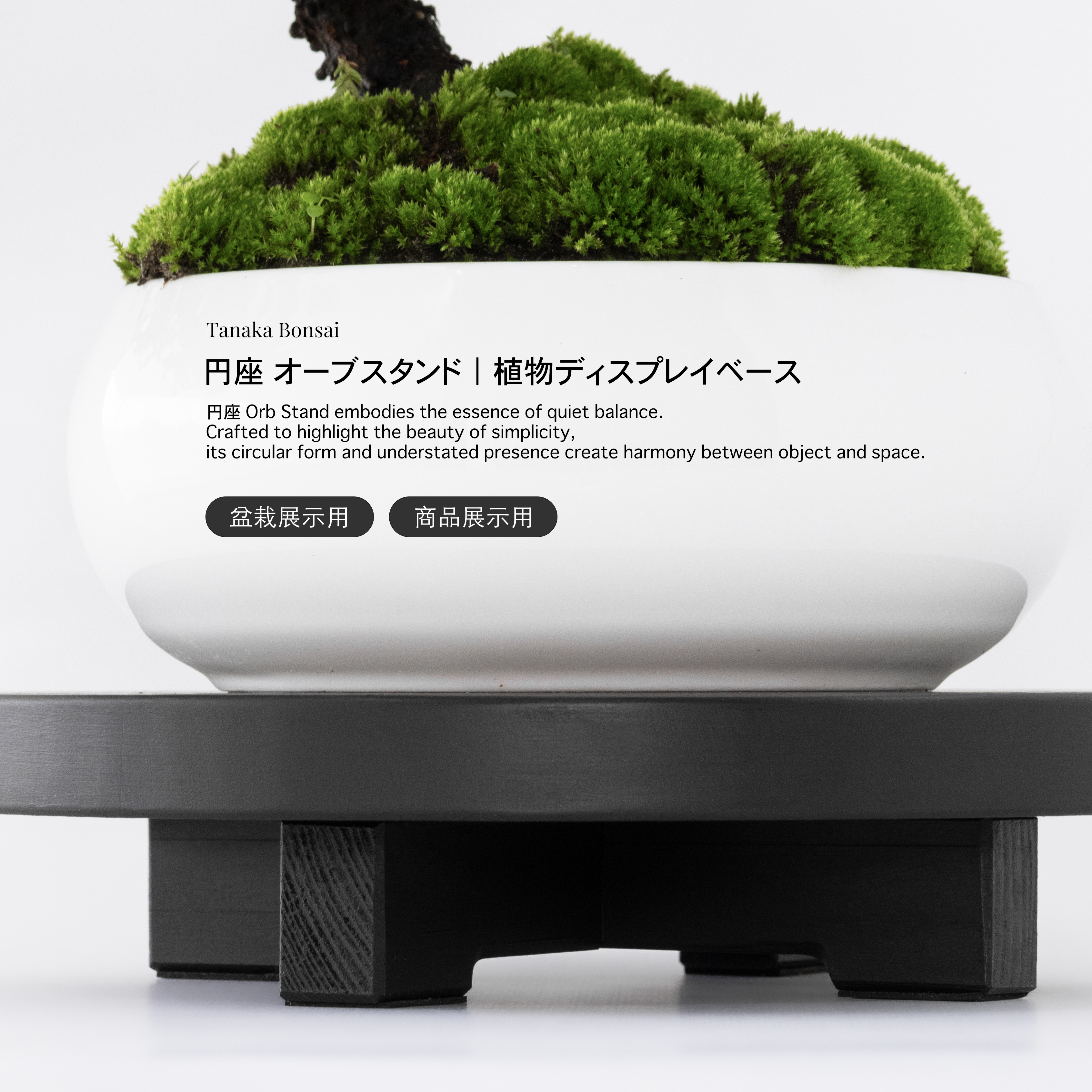 円座 Orb Stand｜圓座植物展示座