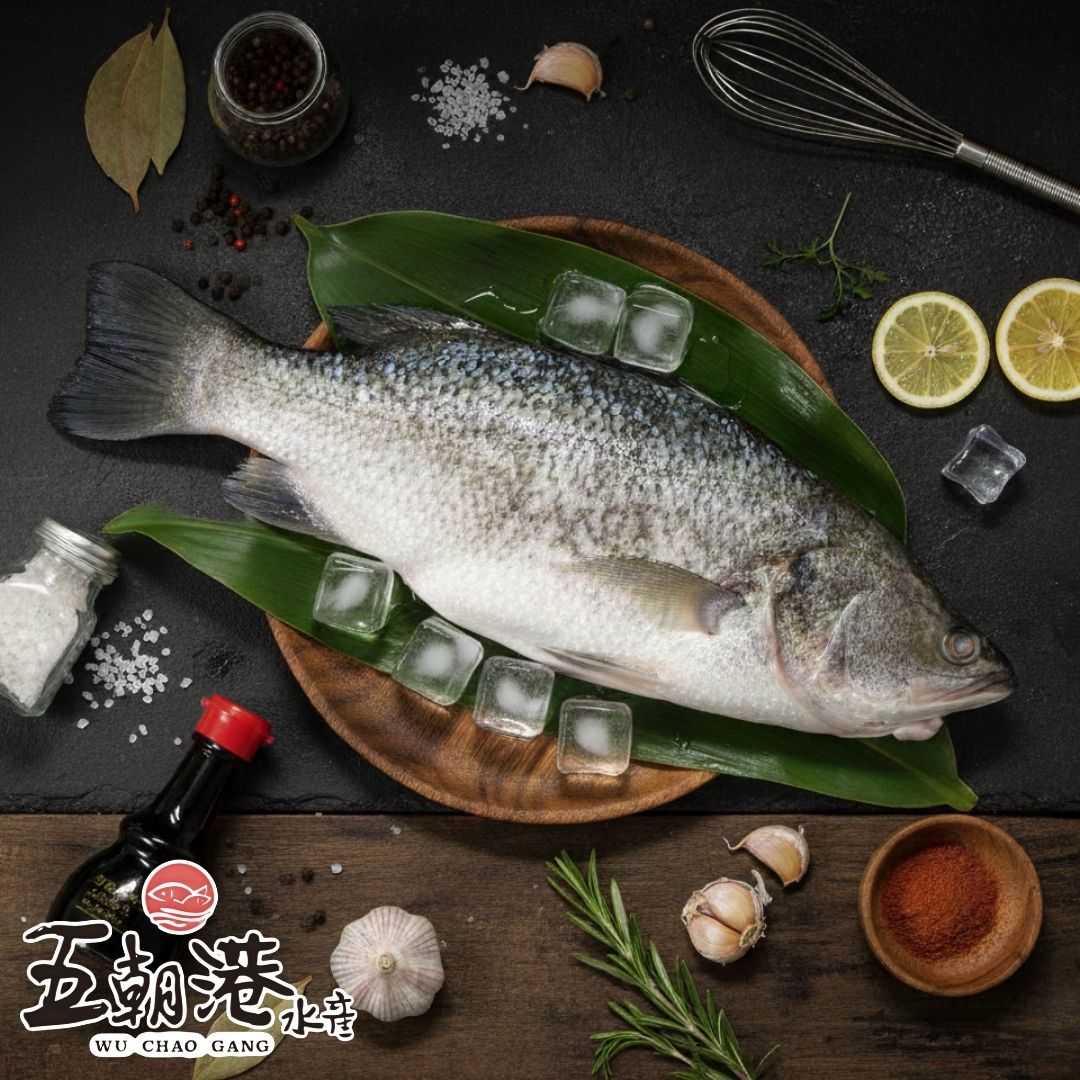 【五朝港水產】台灣鮮凍金目鱸魚(300~400g/尾)