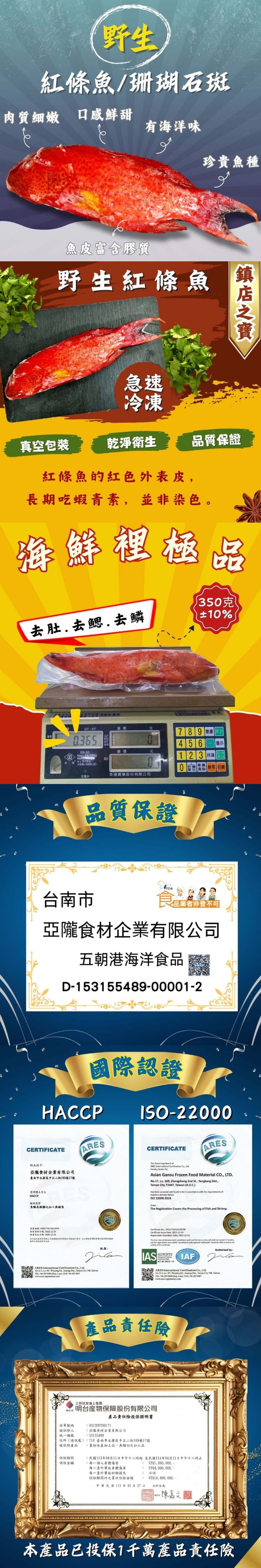 紅條魚/珊瑚石斑介紹 紅條魚/珊瑚石斑介紹