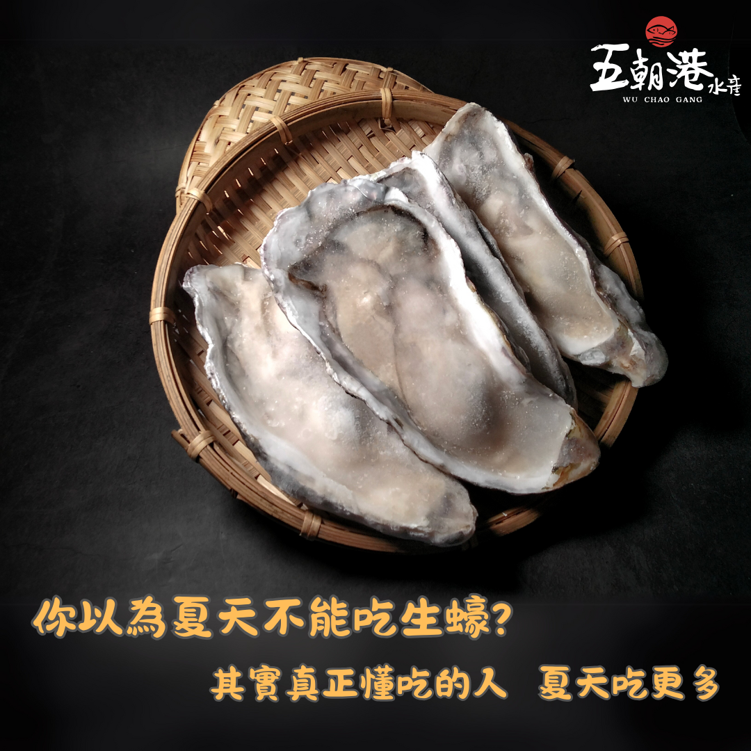 韓國半殼生蠔