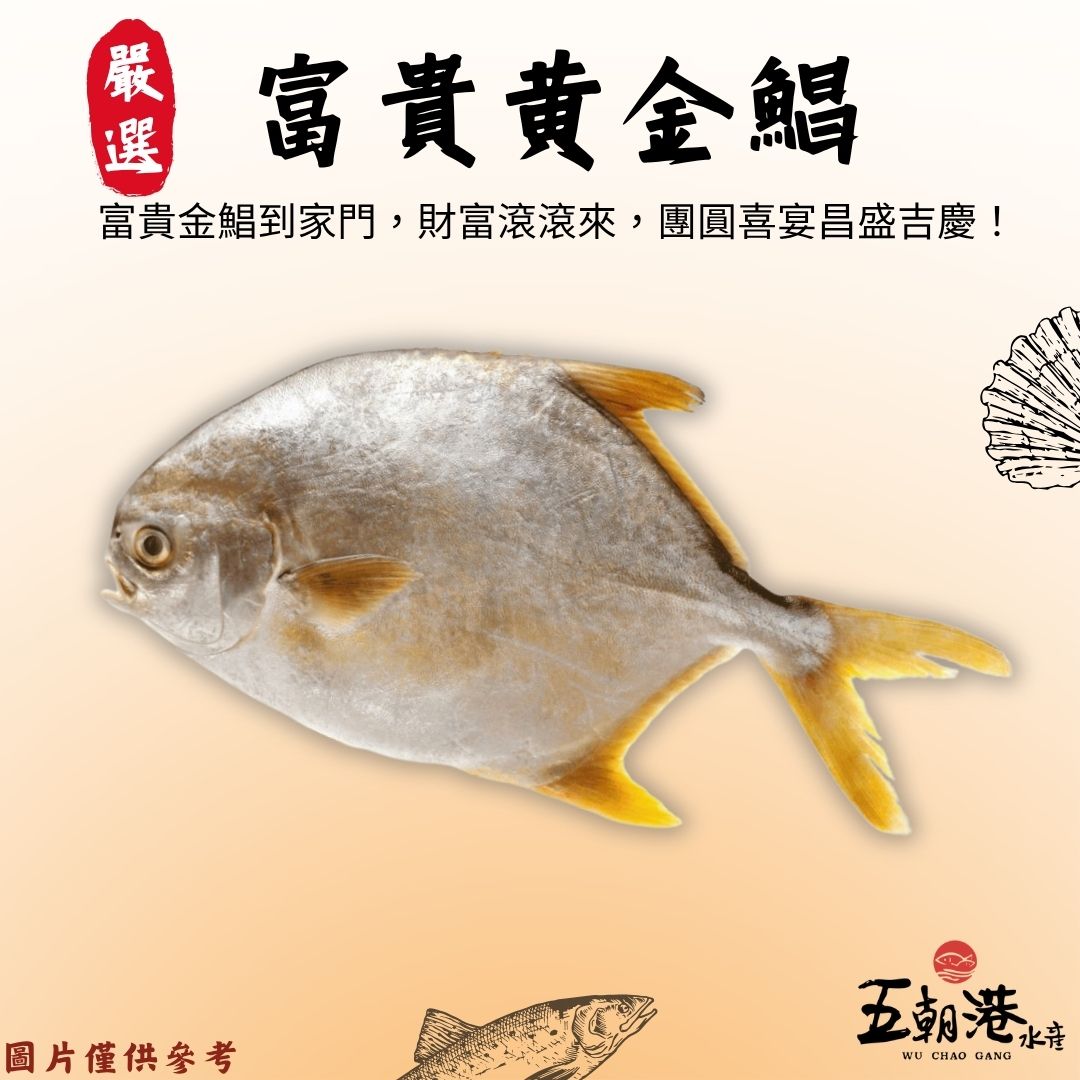 【五朝港水產年菜】富貴黃金鯧