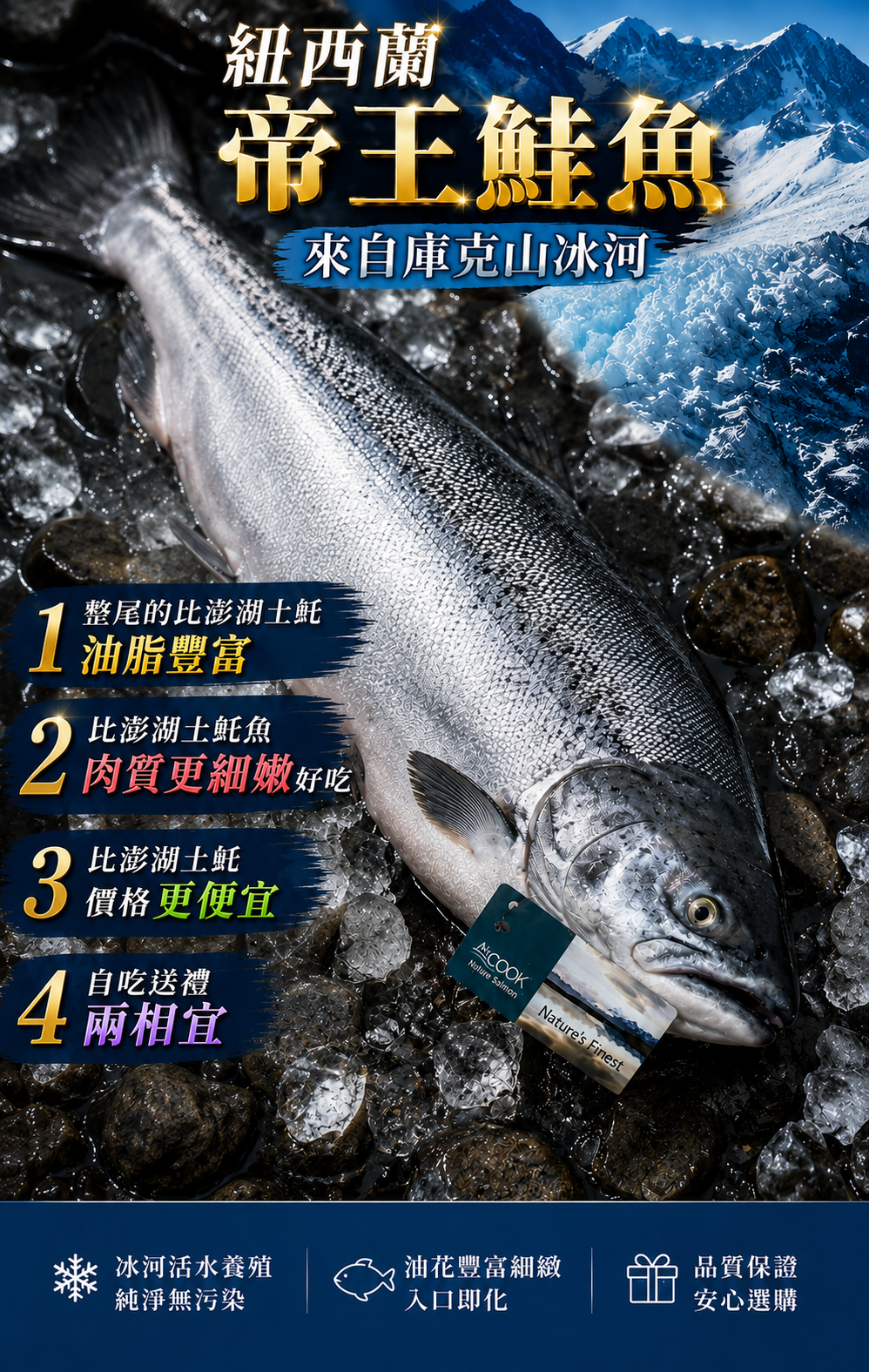 帝王鮭3.png