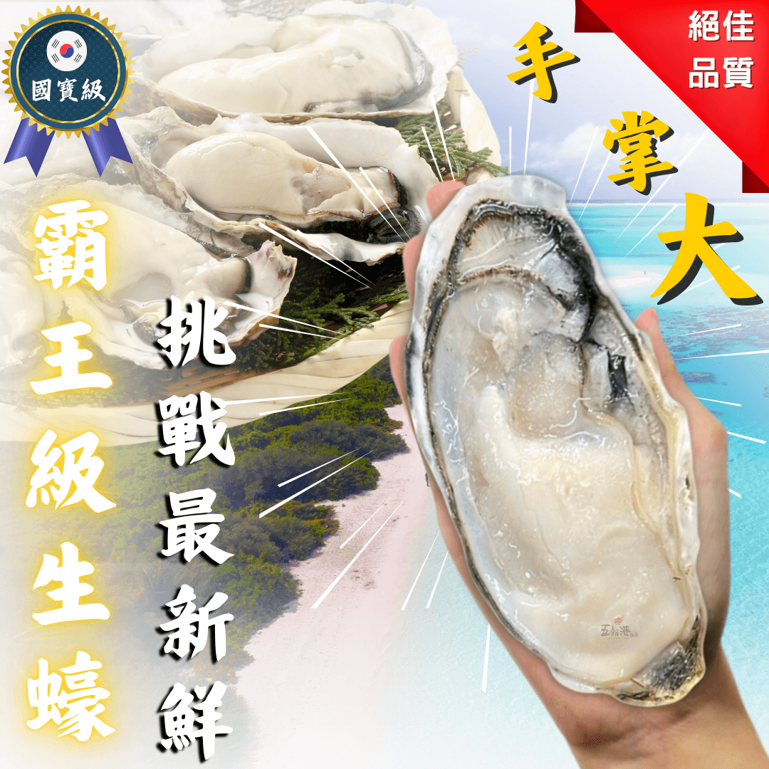 【五朝港水產】韓國半殼生蠔 【五朝港水產】韓國半殼生蠔