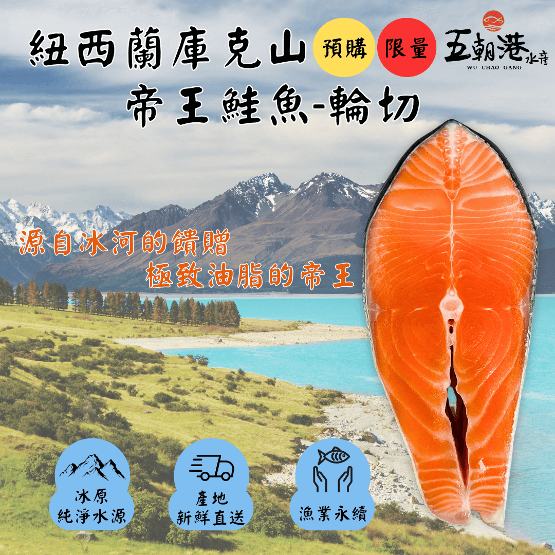 帝王鮭 紐西蘭庫克山帝王鮭