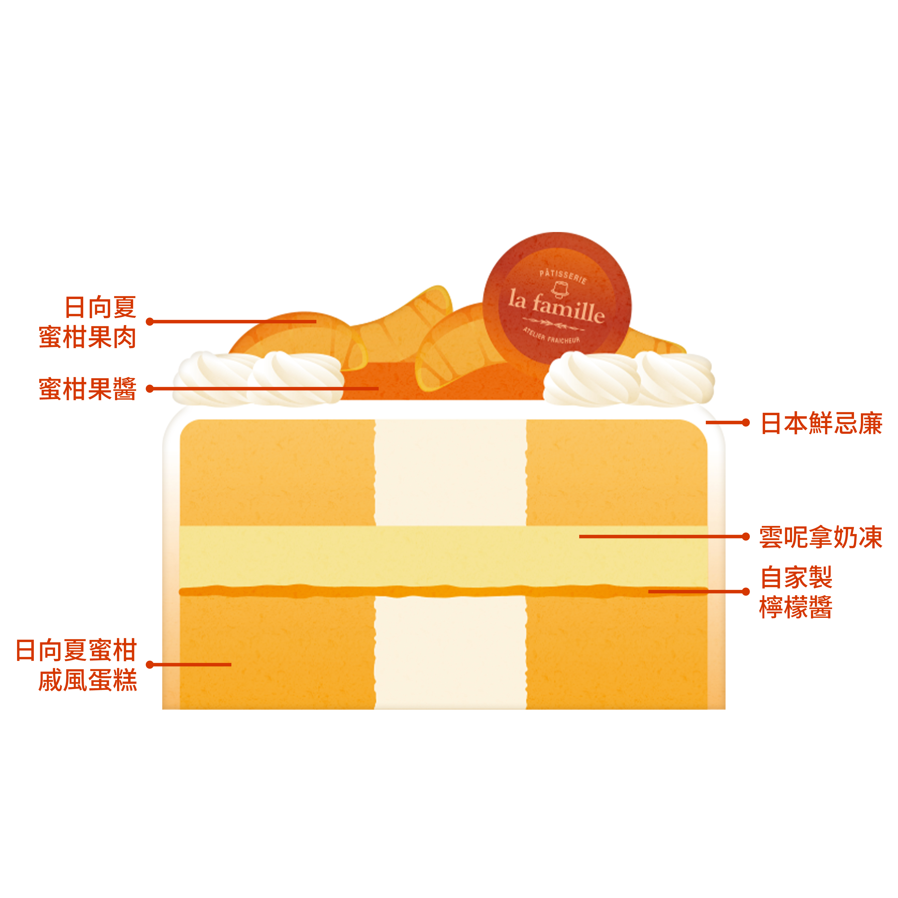 Japanese Mikan 日本日向夏蜜柑2