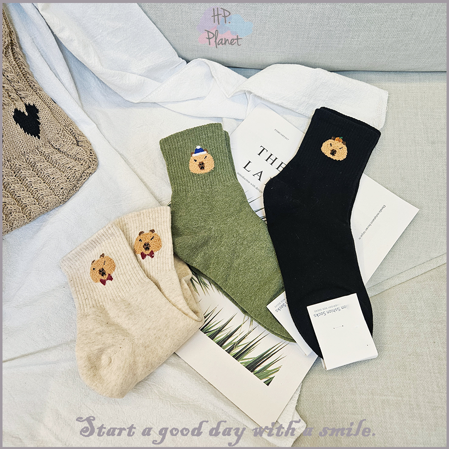 正韓 立體QQ毛造型水豚短襪