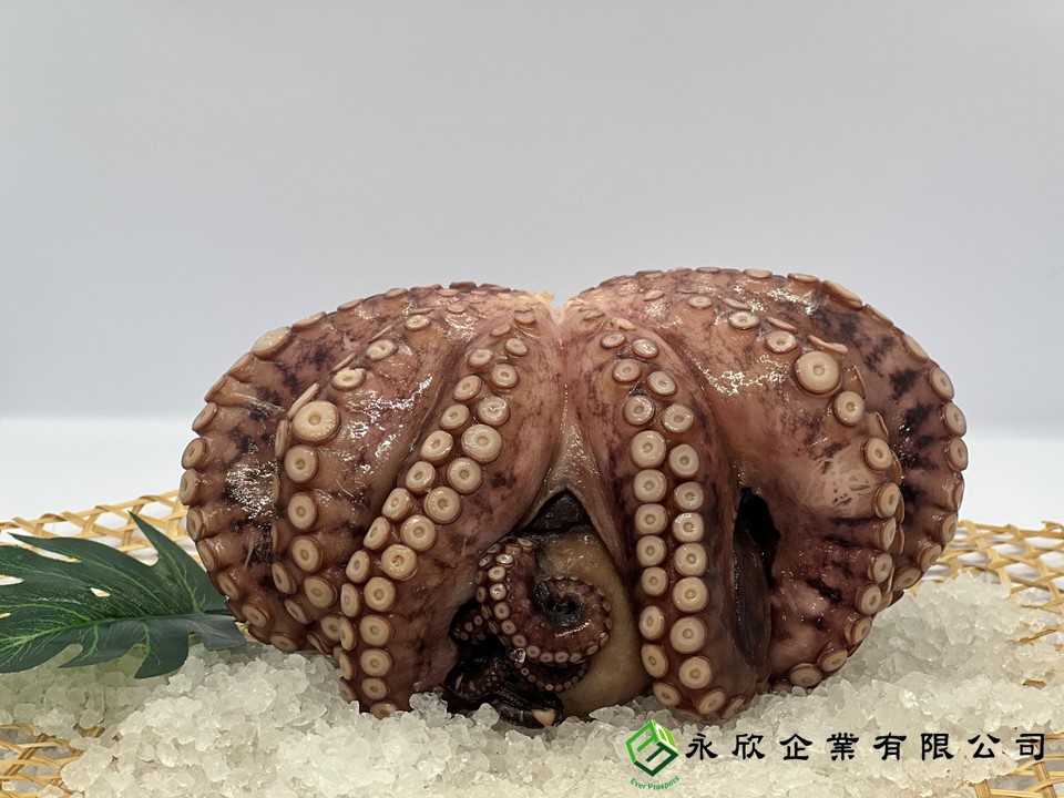 巴拉望野生熟大章