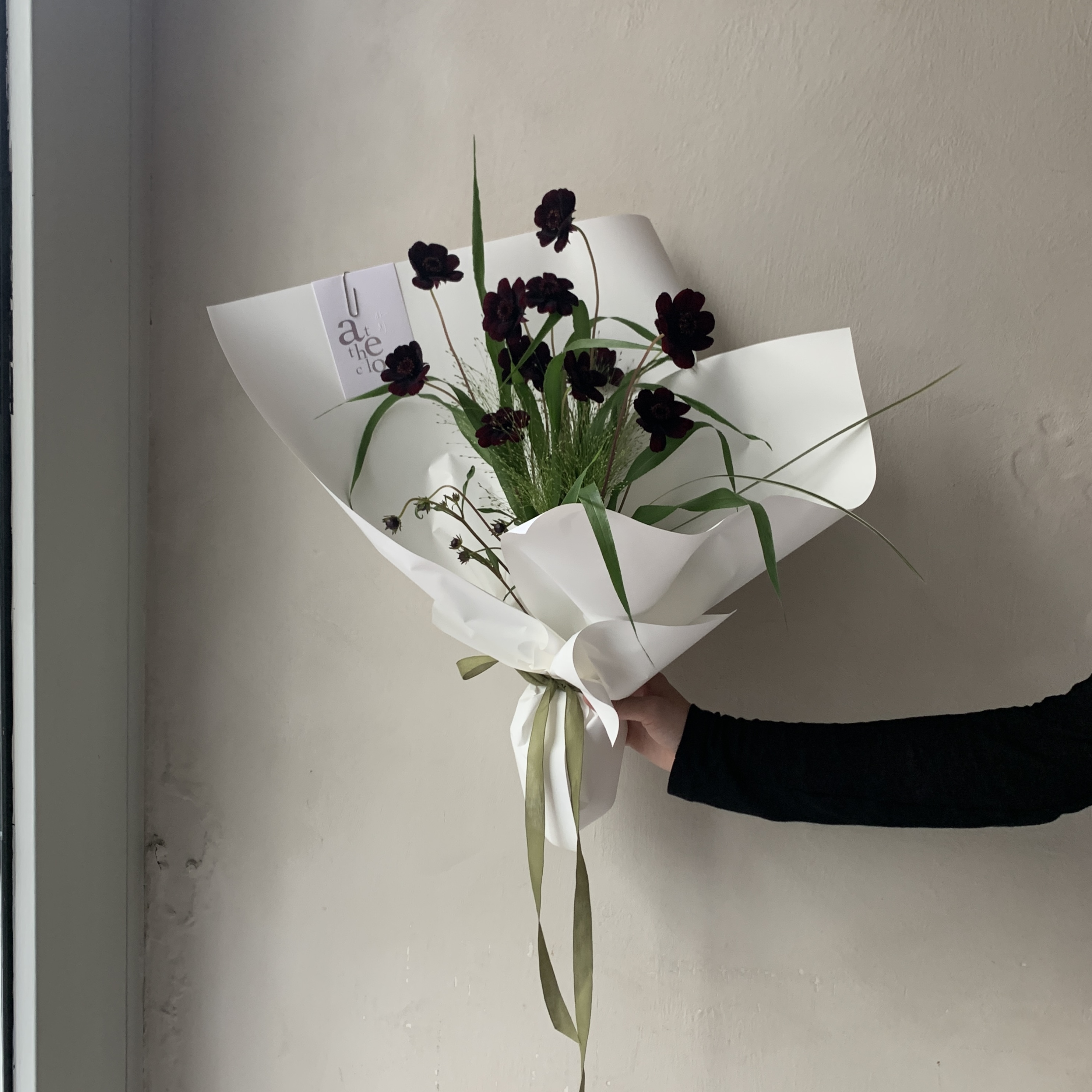 巧克力波斯菊花束