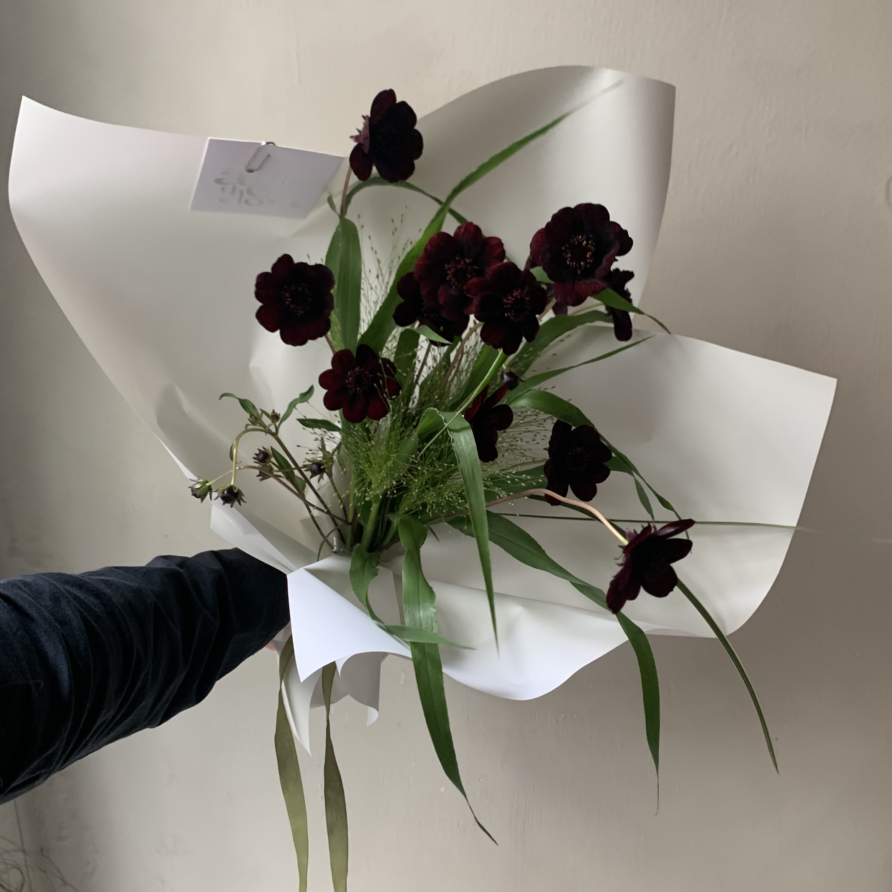 巧克力波斯菊花束2