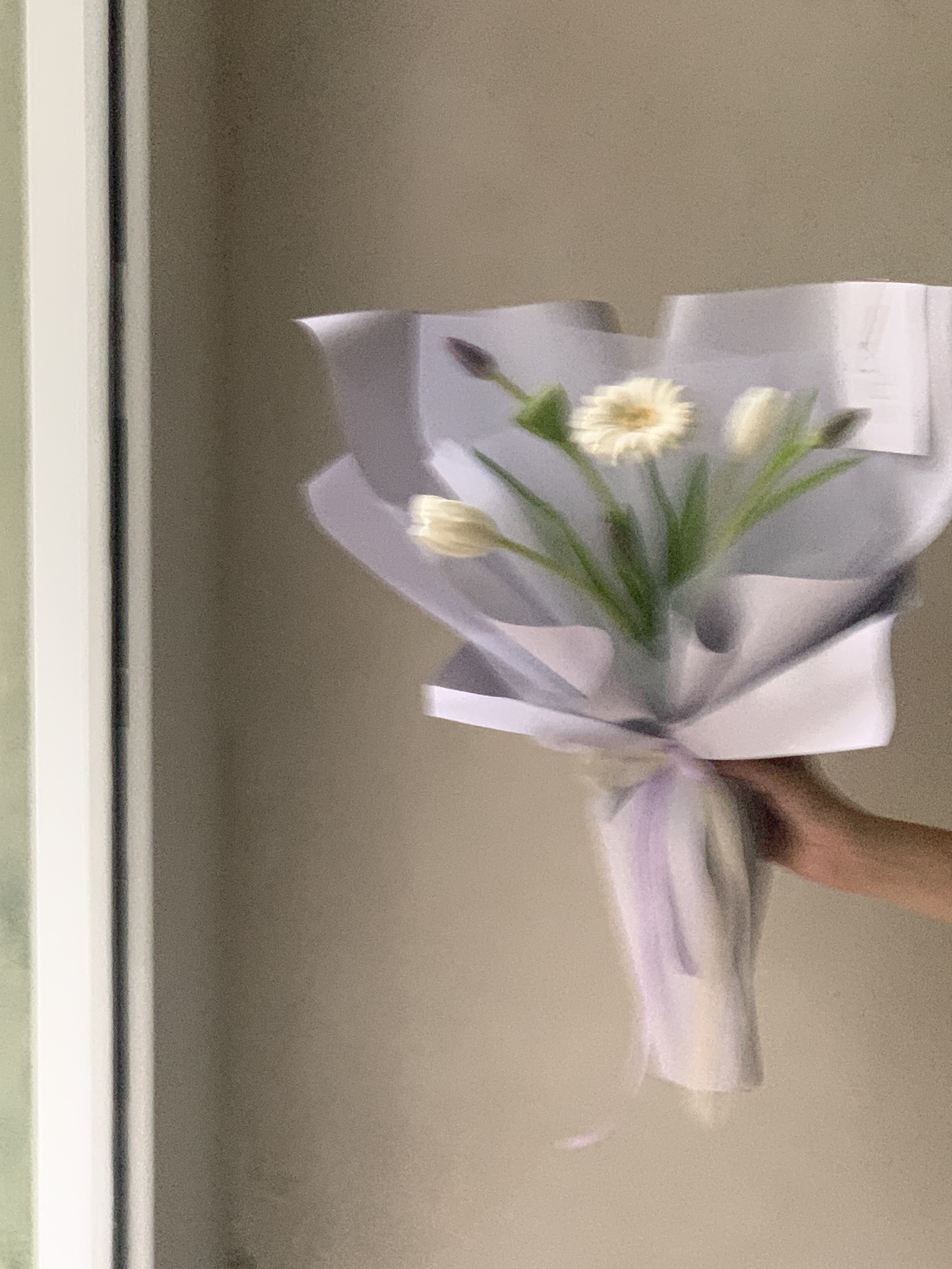 紫白色鬱金香+非洲菊花束3