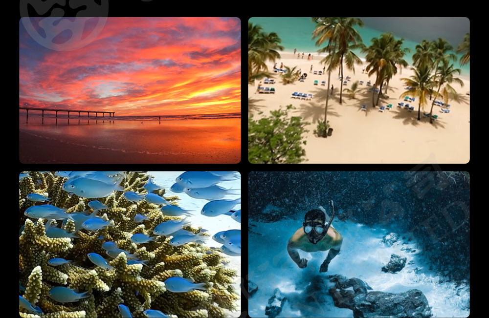 GoPro11_ad10.jpg