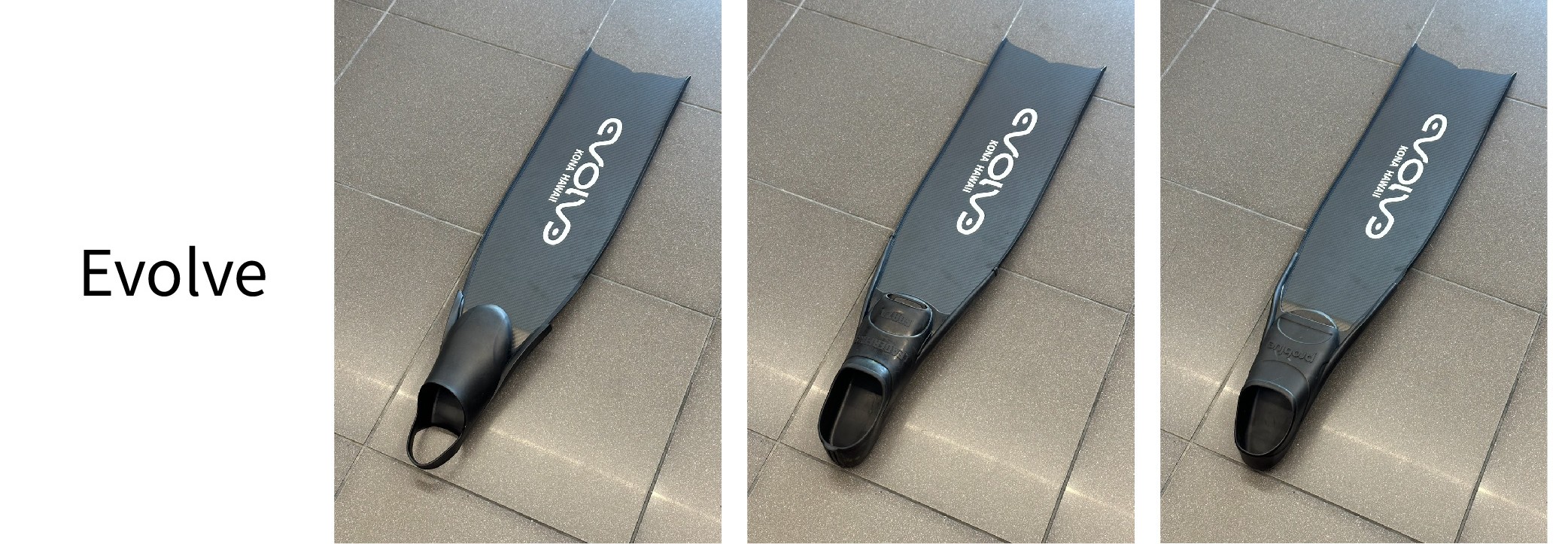 Evo.jpg