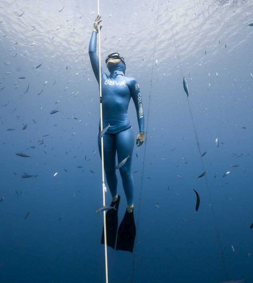 alchmey V3 長蛙 蛙鞋 希臘蛙鞋