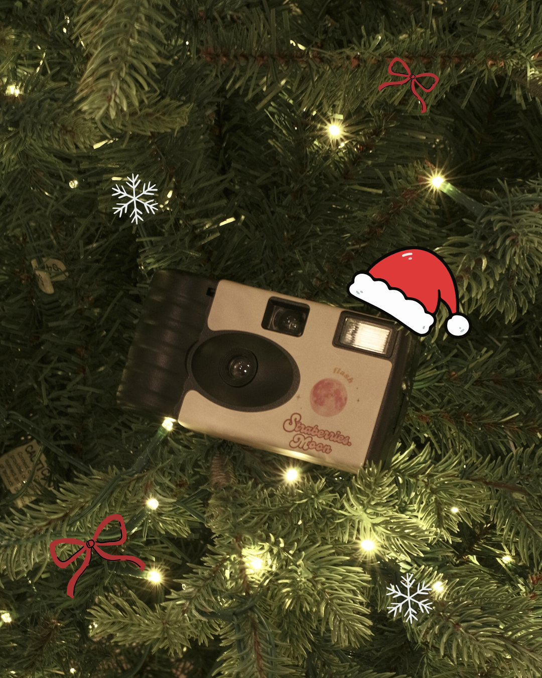 Strawberries. Moon Film Camera KODAK柯達底片