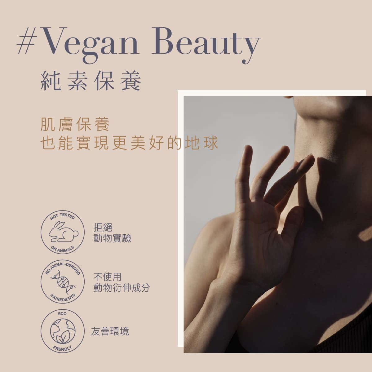 2026_ Eco_私密慕斯_工作區域 13.jpg