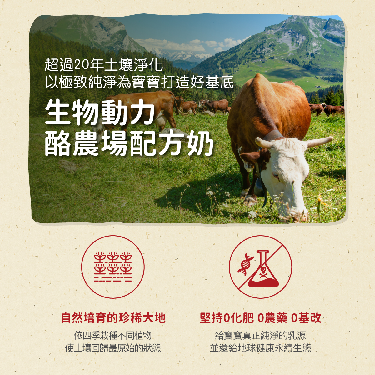 現貨【Holle禾樂純境】生物動力牛3號(效期至2027/01)-5入組贈果泥或Derma超值好禮5