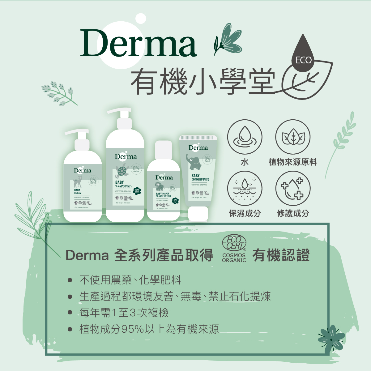 2024 Derma Baby長條圖-09.jpg