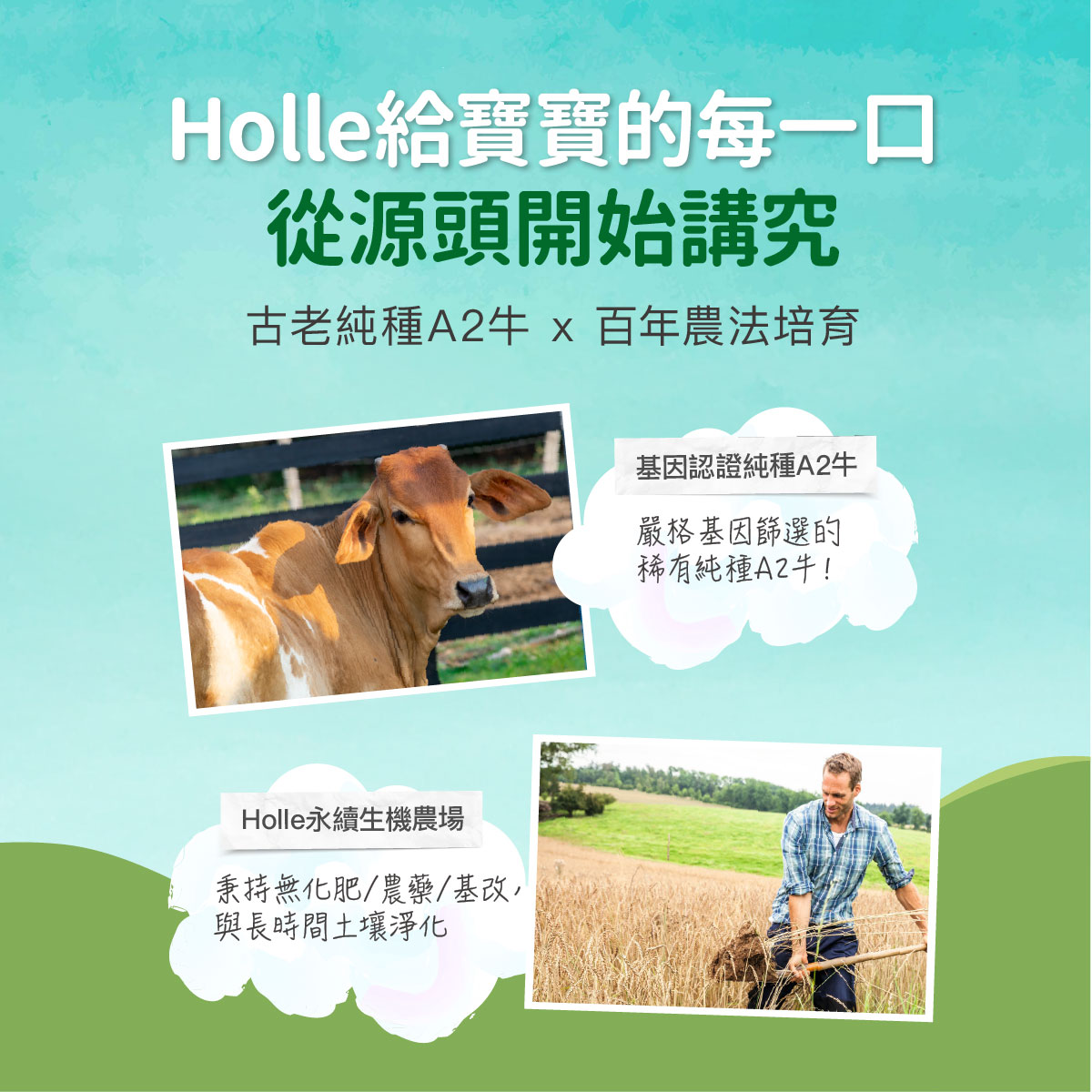 Holle官網(生機A2牛)方形圖-04.jpg