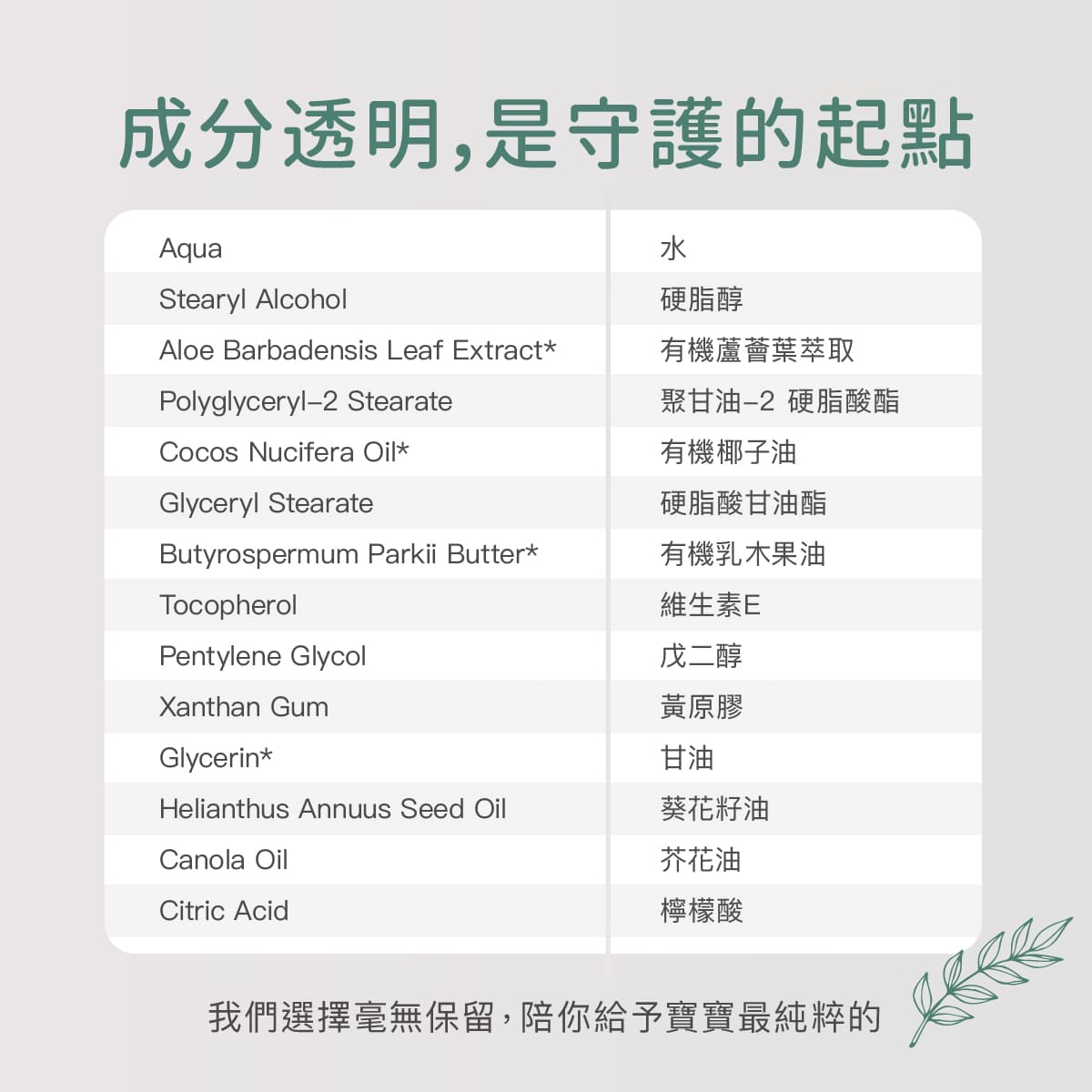 202603_Derma Baby_護膚霜_工作區域 8.jpg