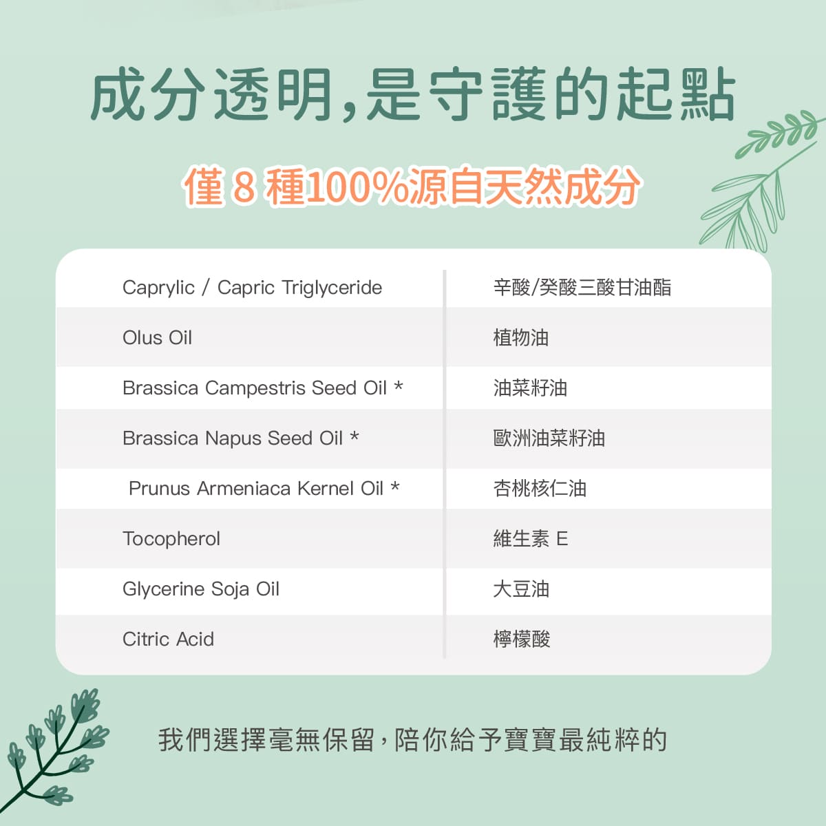 2026_03_Derma Baby_沐浴按摩油_工作區域 8.jpg